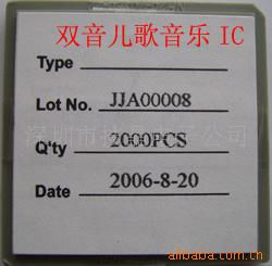 ˫IC