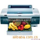 EPSON4880CĿ