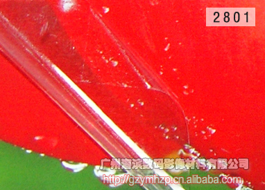 25֮ĤӰ¥ĤH-2801ĤĤ/ֻĤ