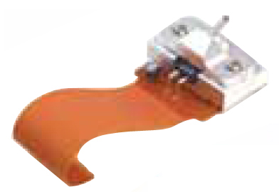 תӡӡͷ
