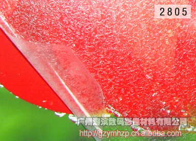 25֮ĤӰ¥ĤH-2805Ĥ
