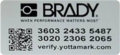 bradyϹ̶ʲǩ