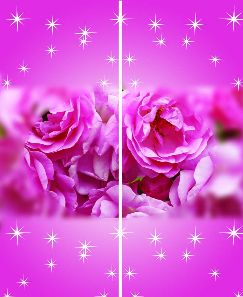 䲣Ųӡ