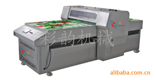 A1爱普生901C打印机(打印机幅面:62cm*250cm)