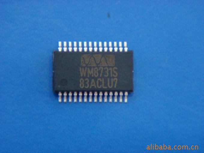 ICWM8731WM8731SEDS