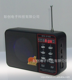 忨,,WS-3166,,,õ