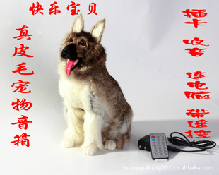 忨Сǹֱֹ