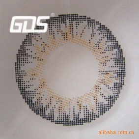 ֱGDSϵ۾