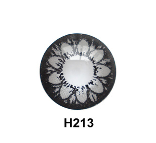 ɿɰĿͫH213۾