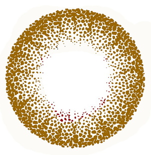 15ԪһֻEyemi-С-ɿVASSENڣı