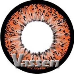 vassen۾Ʒ