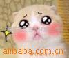 top_classĶ_