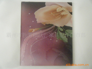 ӹ4MM-10MMн