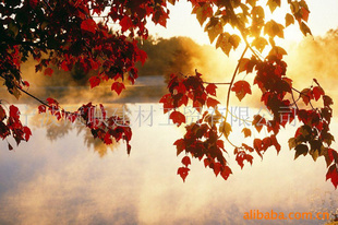 艺术玻璃、夹丝、中空、热熔玻璃/钢化/夹胶玻璃