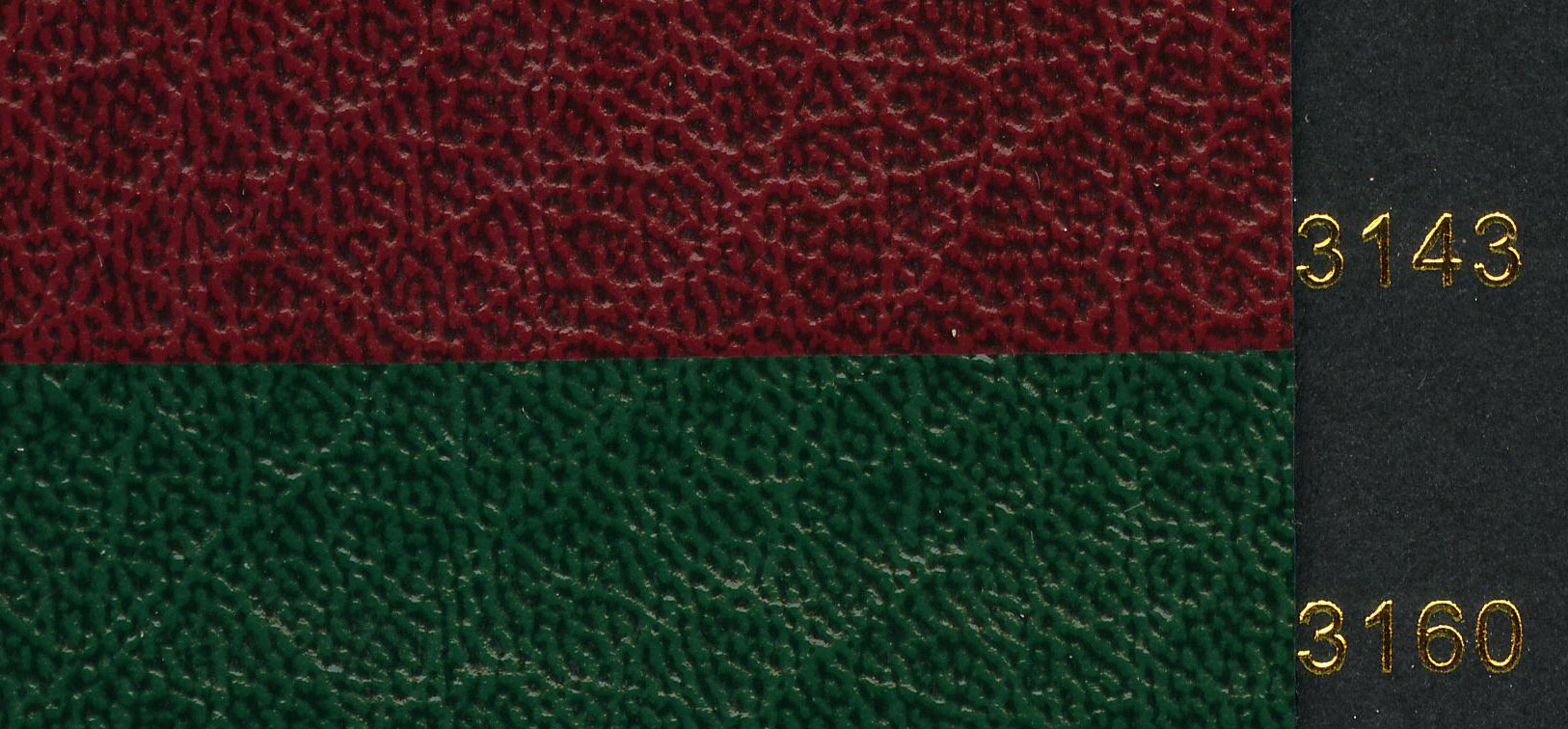 ڳƤֽŸϵ֦