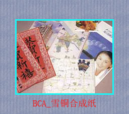 PPϳֽBCA0.45