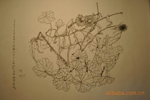 ڹֽֽ׿ֽ
