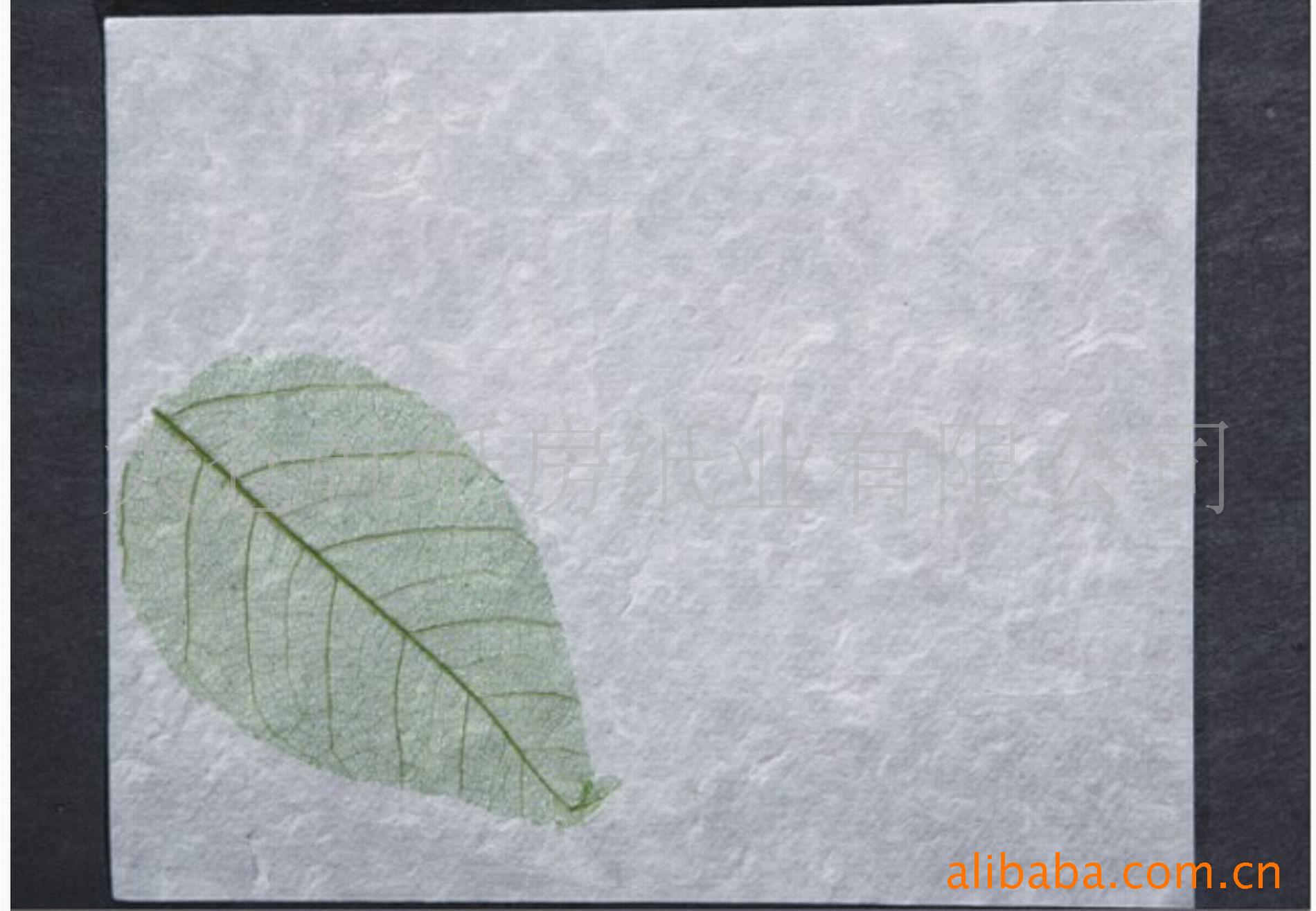 手工纸艺术纸叶脉纸DIY贺卡纸袋纸灯罩纸
