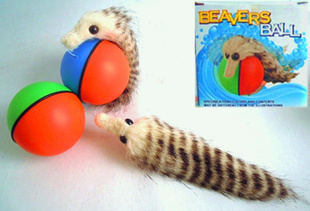 綯ˮ綯ë޺ˮBeaversball