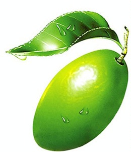 ˼ζƿװֱ
