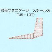 ձƣSWANβ϶MS-13Tƣ