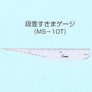ձƣSWANβ϶MS-10T
