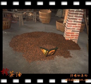 2010궬²Ͳ/ɽѣʸ