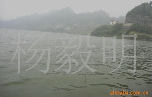 佭Ͳѱɣ