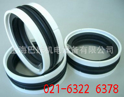 实体店意大利进口TPM098066油封密封件进口密封件