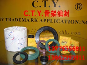 德国进口CTY油封德国利产品苏州进口CTY骨架油封