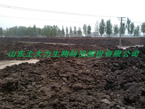 Ģлԭ