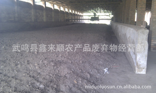 ʥŮСлʷ켦