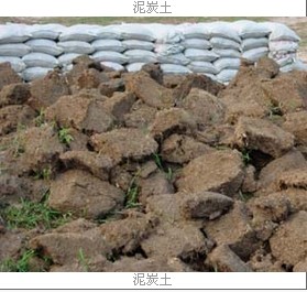 园林绿化泥(草)炭土销售