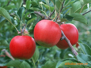 лʣƻл