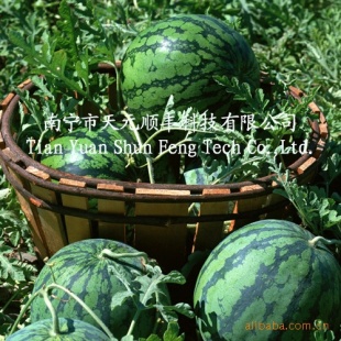 лϣҶʣ1𷢻