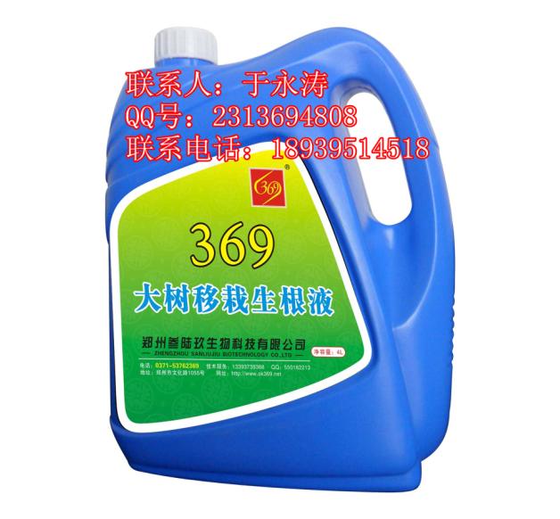 ҺҺ369