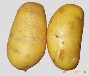 ֲúл