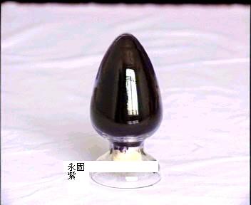 ͸RLP.V23