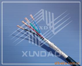 ѶAXDεߣο(RVVPϵ)