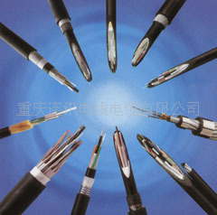 HYA502010
