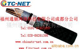 HYA553铠装通讯电缆,地埋电缆、通信电缆