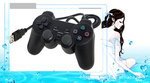 ϷֱֱӦPS2USBֱ