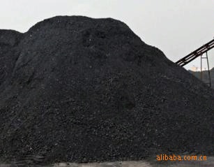 6000*úСӿ