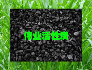 温县伟无*煤滤料您的水处理净化