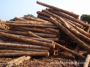 ԭľСͷֱ6-20cm