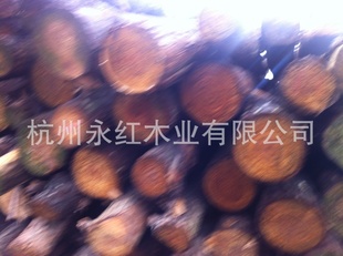 10cm以上大屁股打桩杉木