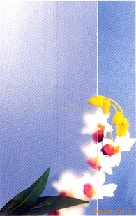 Ƽѹ