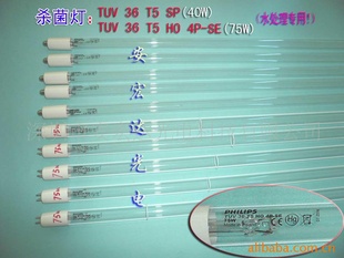 ڷTUV36T5HO4P-SE߾