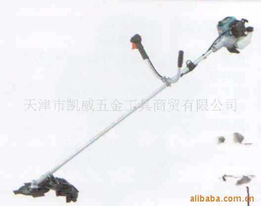 ݻRBC3100