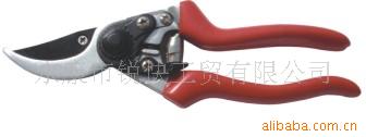 园林工具,园林剪,整枝剪,草剪,篱笆剪,树枝剪